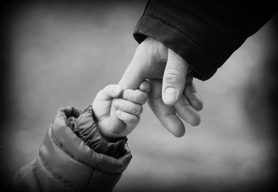 7447231336_ce2839fab8_z